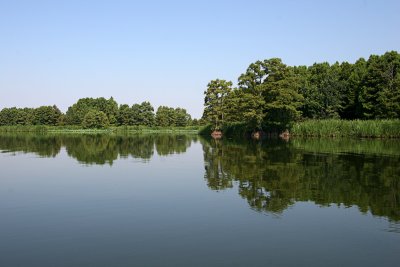 IMG_4932 copy.jpg
