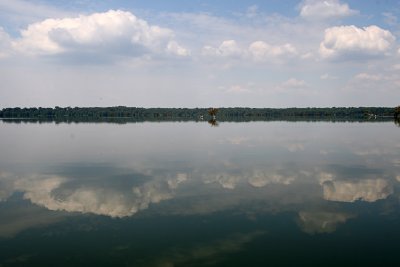 IMG_4983 copy.jpg