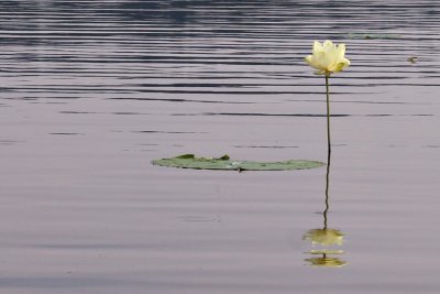 IMG_5269 copy.jpg