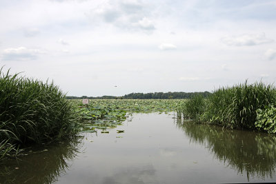 IMG_9924 copy.jpg