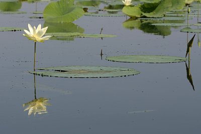 IMG_9947 COPY.jpg