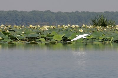 IMG_9960 COPY.jpg