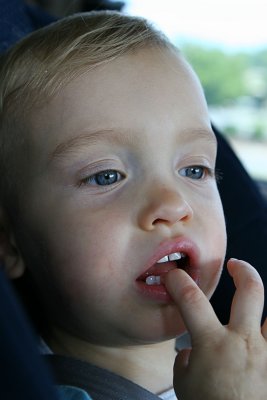 IMG_2353.jpg