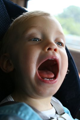 IMG_2355.jpg