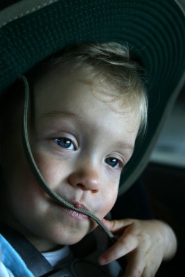 IMG_2362.jpg