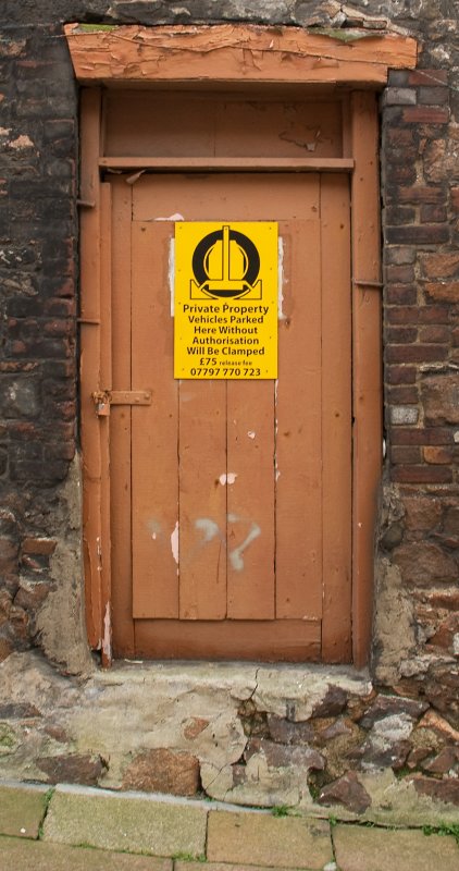 DSC_5027b.jpg