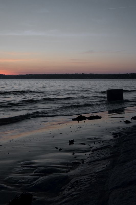 DSC_7223b.jpg