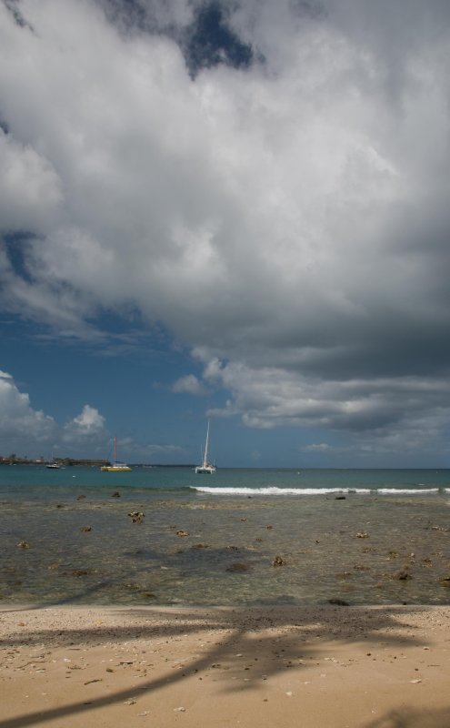 Mount Irvine Bay