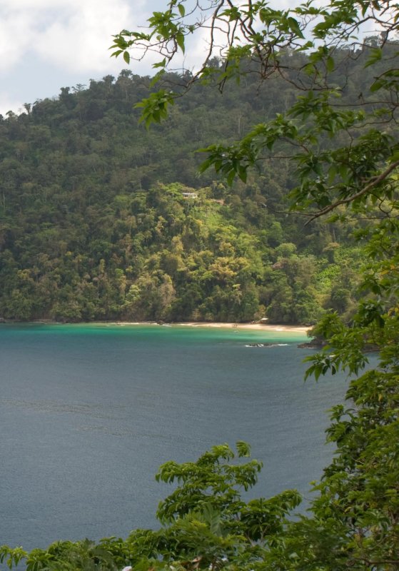 Pirate Bay