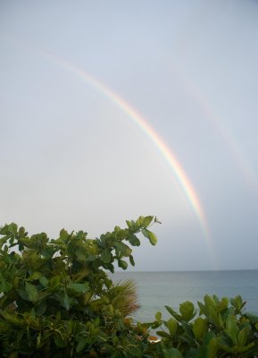 Rainbows at Tropikist