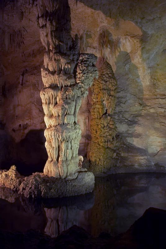 Cavern Creature