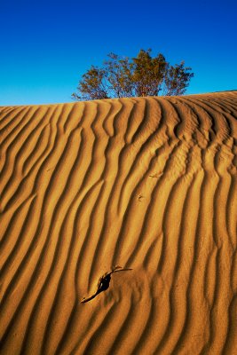 Death Valley Sand Dune 4820.jpg