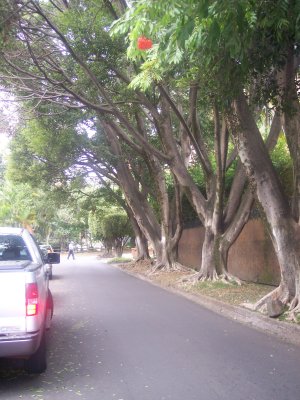 El Poblado, Medellin