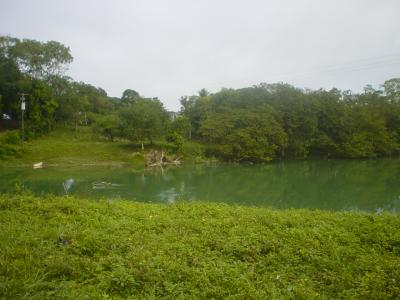 Cayo