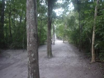 walking to Tikal