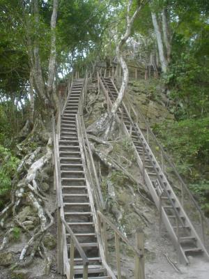 stairs up Templo IV, Tikal