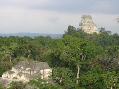 Mundo Perdido, Tikal
