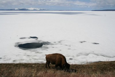 yellowstone_teton_np_2009