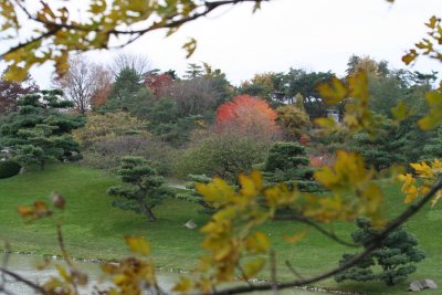 fall_2007