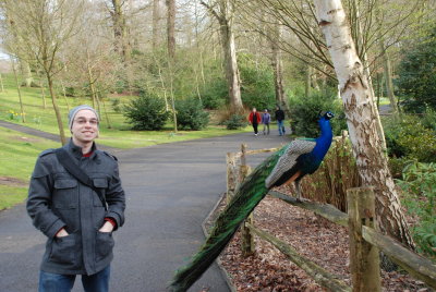 Me and Peacock