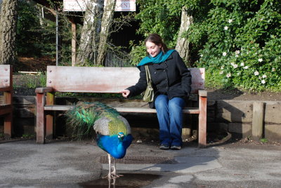 Francine and Peacock
