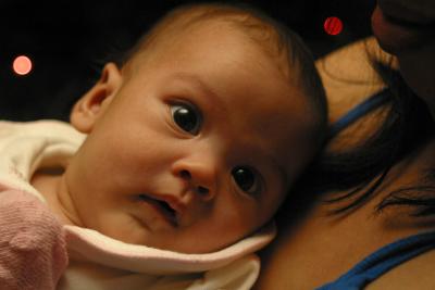 IMG_9779 1536 x 1024.jpg