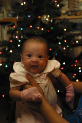 IMG_9763 1024 x 1536.jpg