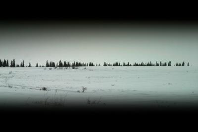 tundra horizon with cold camera.jpg