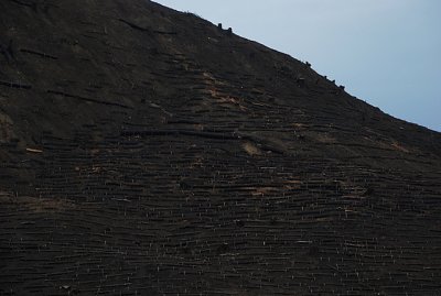 g3/70/28570/3/88411734.KSPwl0jO.jpg