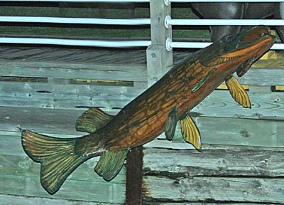 IMG_1267fish.jpg