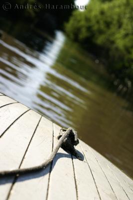 Sobre el Bote