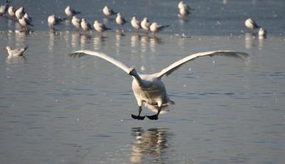 IMG_9415.JPG