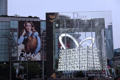 Dior's Neon Bag