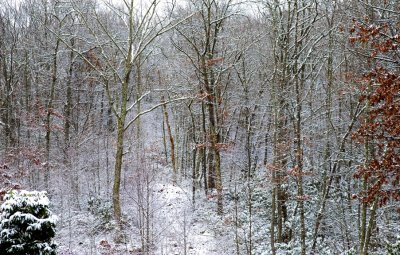 Snow_26.jpg