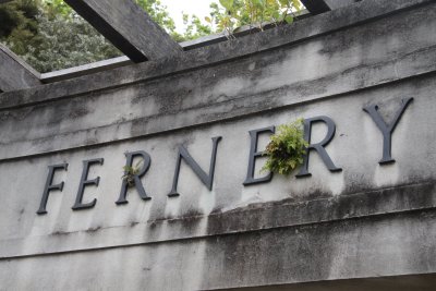 The Fernery in Auckland Domain