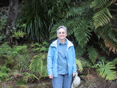 Fern heaven!