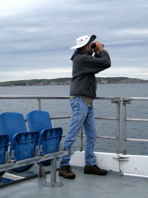 Birding on the ferry