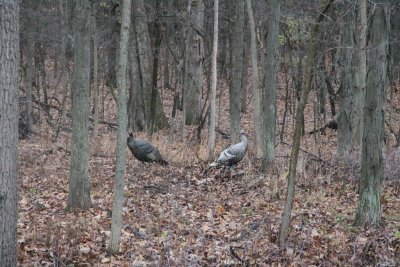 IMG_1932.JPG