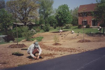 1999_planting