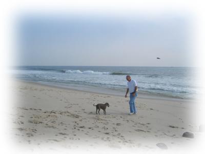 Tipper loved playing ball on the beach more than anything else.....