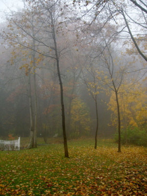 Autumn Scene II 2007