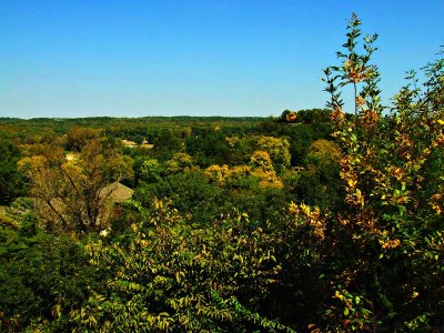 View from lodge.jpg
