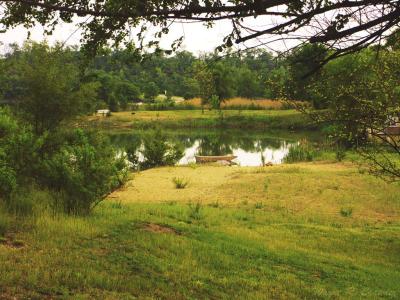Rainy Day View.jpg