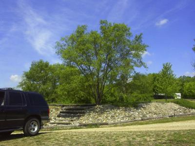 Another View from Our Site.jpg