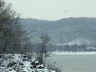 Winter on the River.jpg