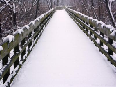 Winter Walk 04.jpg