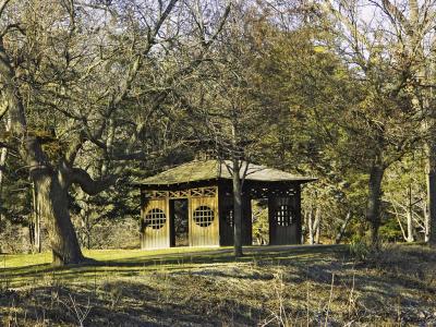 Feb in the Park.jpg
