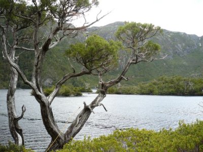 honey moon islands in the dove lake