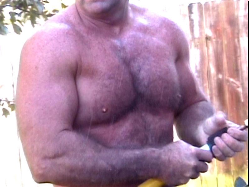 older muscle bear.jpg