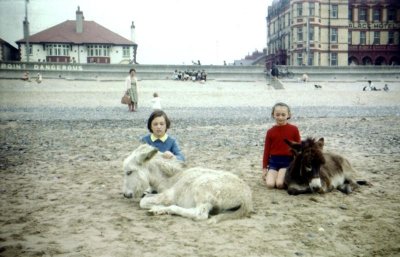 eIS2 slide 07 Lorna and Elaine with donkeys, Mum and Kathy in background